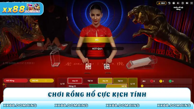 Chơi rồng hổ cực kịch tính