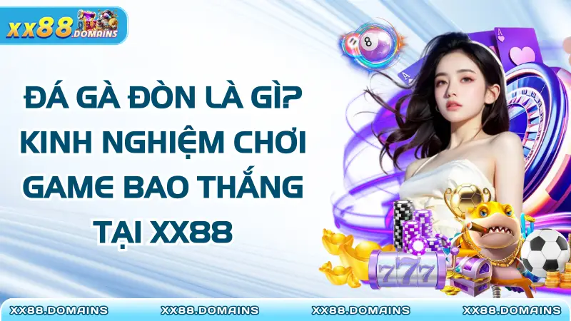 Đá Gà Đòn Là Gì