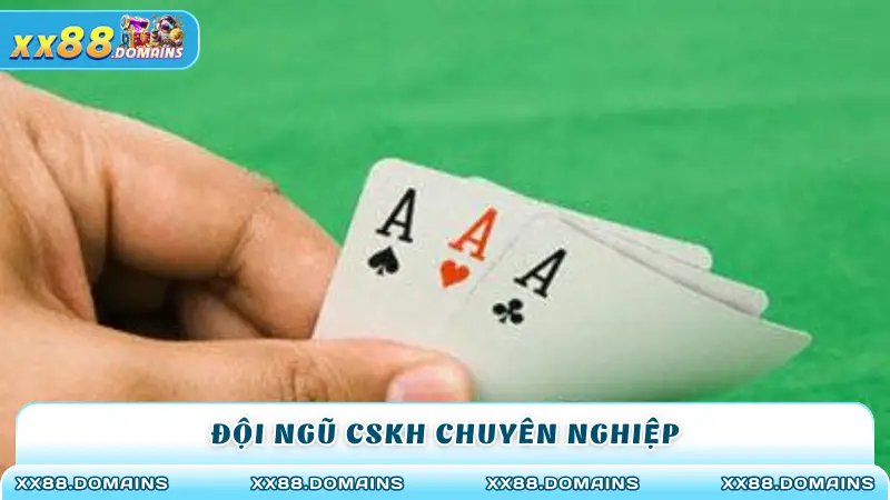 Đội ngũ CSKH chuyên nghiệp