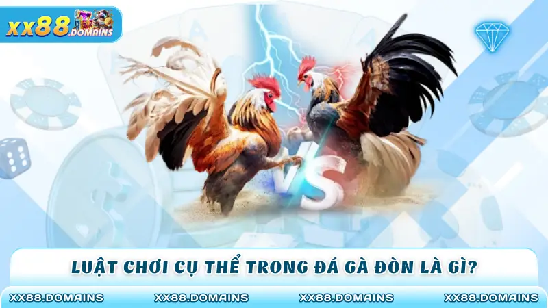 Luật chơi cụ thể trong đá gà đòn là gì?