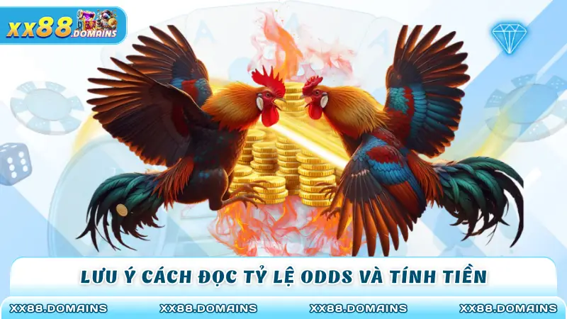 Lưu ý cách đọc tỷ lệ odds và tính tiền 