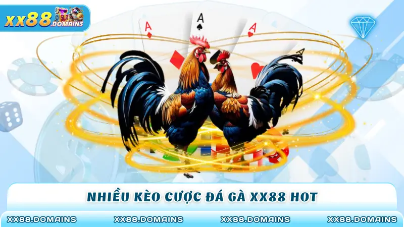 Nhiều kèo cược đá gà XX88 hot