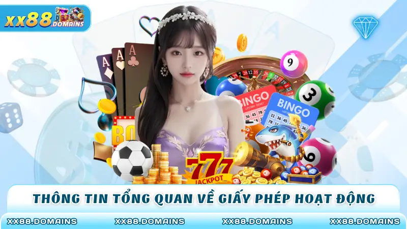 Thông tin tổng quan về giấy phép hoạt động