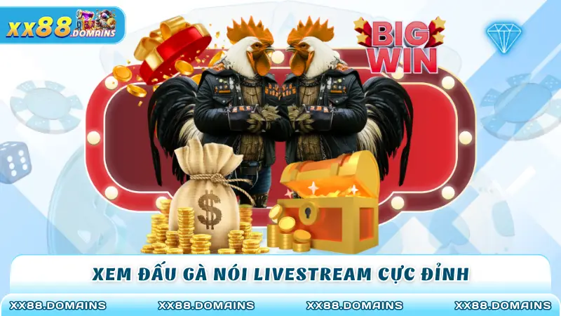 Xem đấu gà nói livestream cực đỉnh